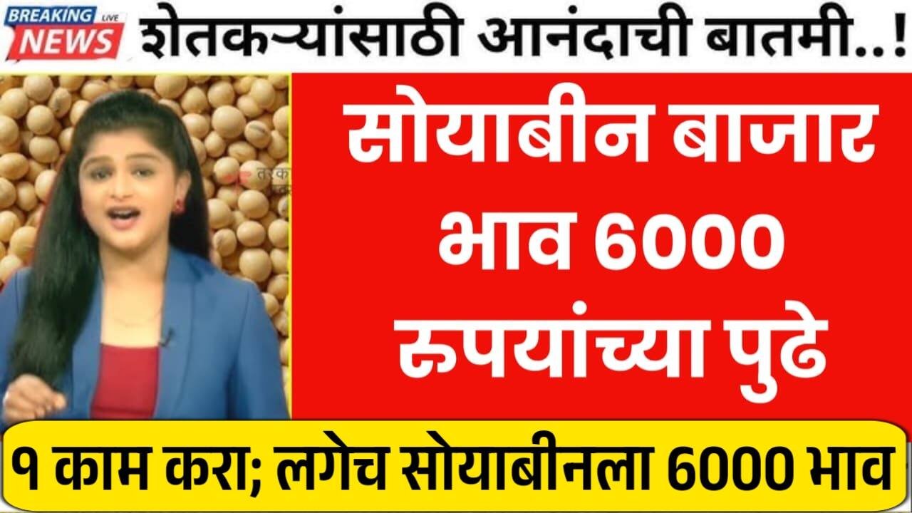 सोयाबीनची हमीभावाने खरेदी सुरू; आता सोयाबीनचा भाव 6000 पार! नवीन दर पहा Soyabean Market Rate